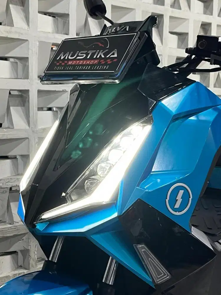 MoLis Alva Cervo Reg.2025 Like New