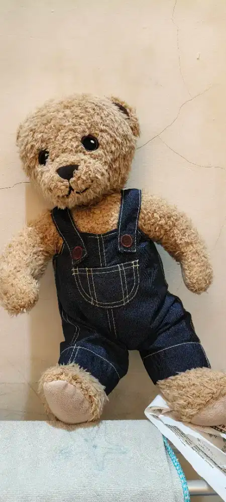 Teddy Bear Brumma