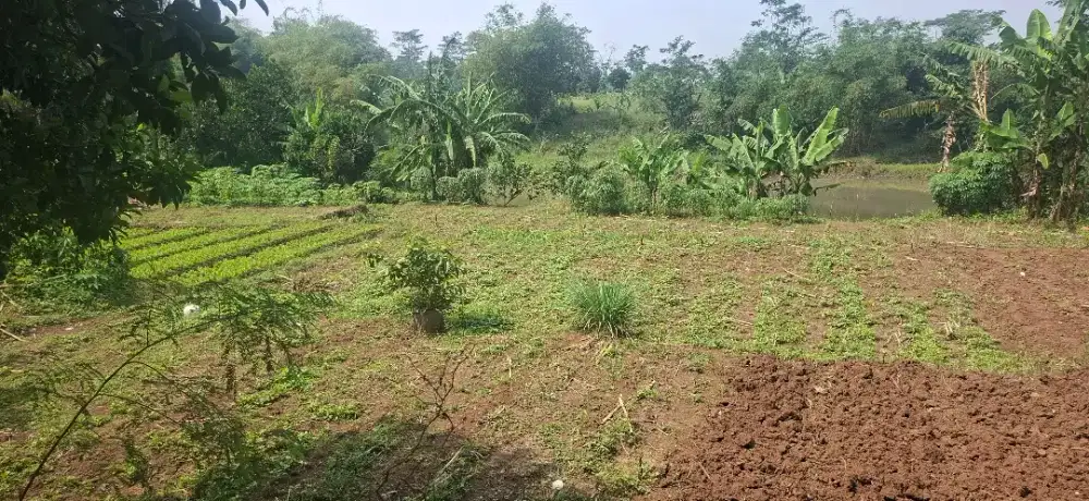 Tanah Cipatik Margaasih