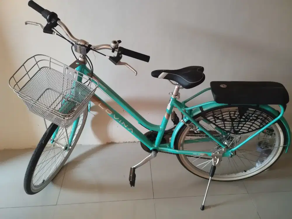 Polygon Lovina 26