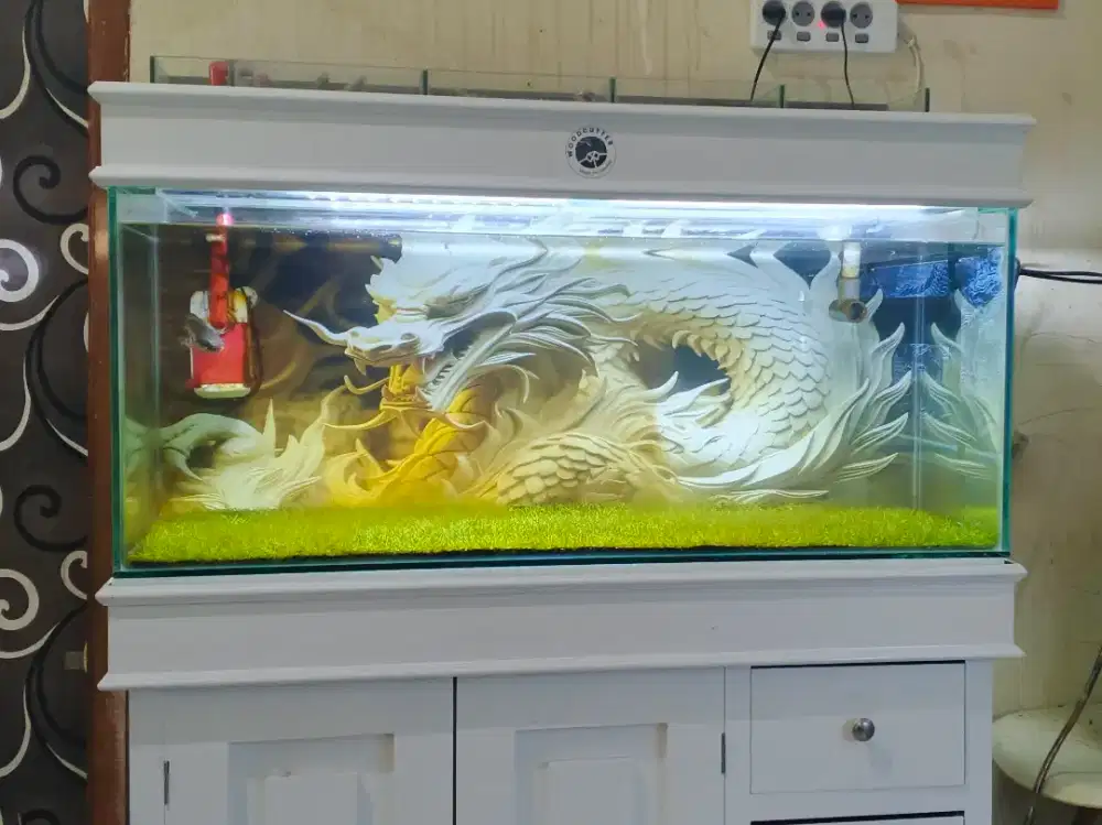 Aquarium muluusss gresss