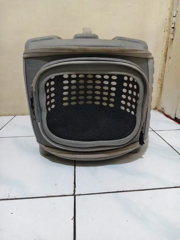 Kandang kucing standar bandara
