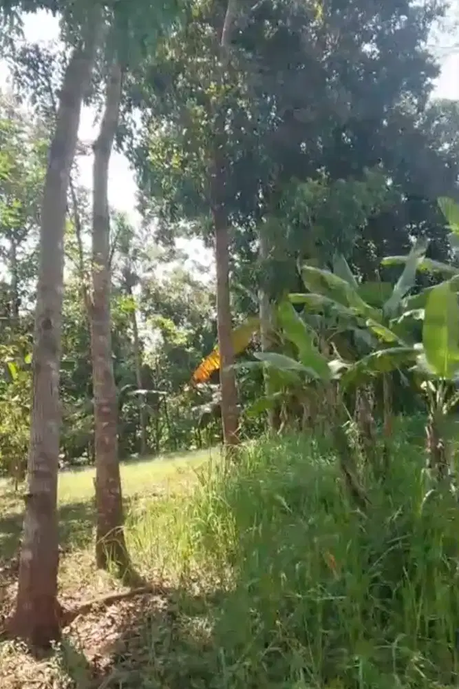 Tanah dijual dekat kampus unnes
