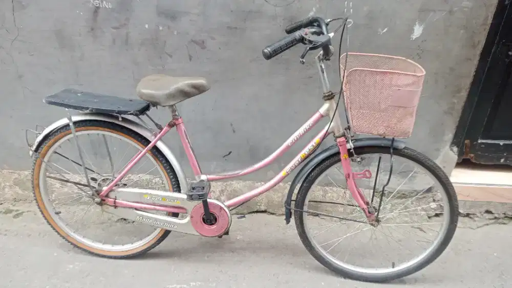 Sepeda mini / keranjang EVERBEST Ukuran 24