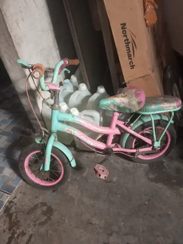 Sepeda anak perempuan