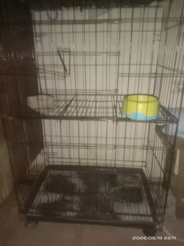 Kandang kucing dan kelinci