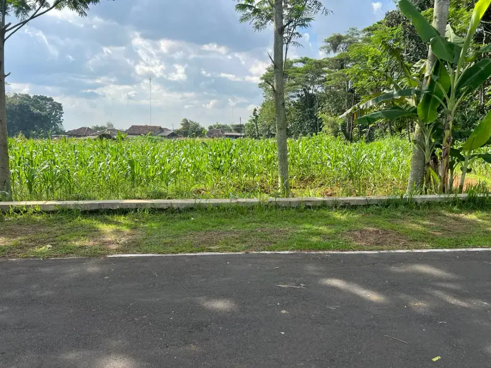 Tanah 1100m² Udara Sejuk Karanganyar