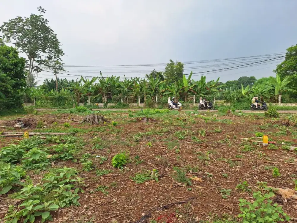 Kavling Murah di Cisauk Harga 100Jt-an, Akses Mobil