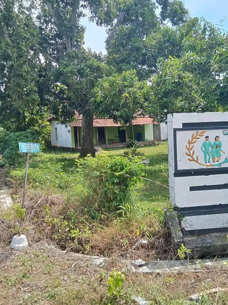 Dijual Cepat Tanah dan Rumah