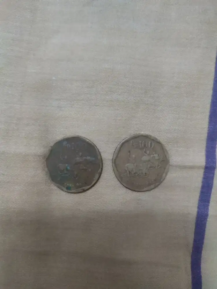 Uang koin Rp 100 karapan sapi