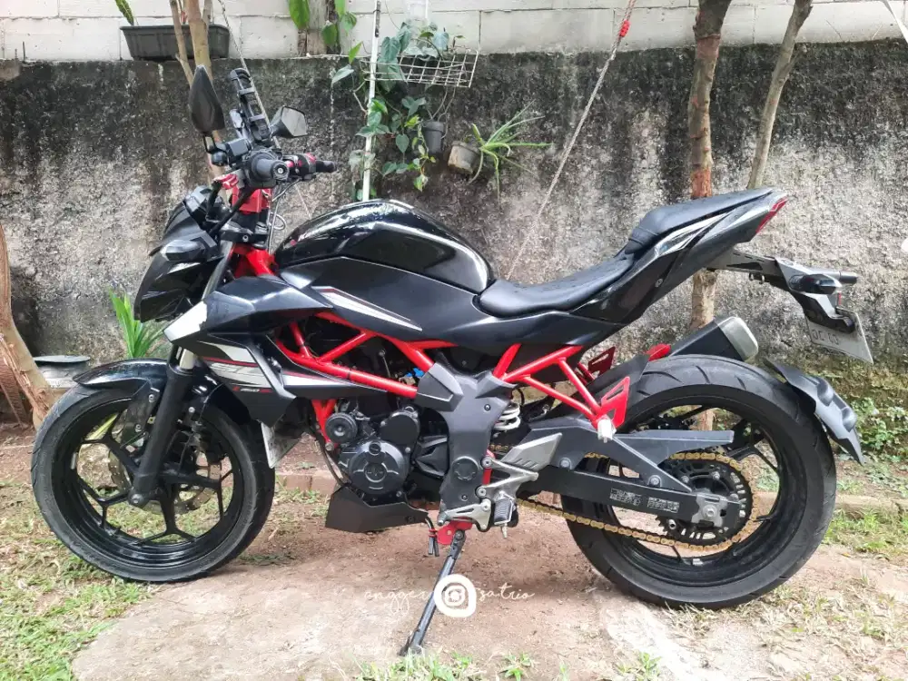 Kawasaki Z250SL / Z250 SL / Z 250SL