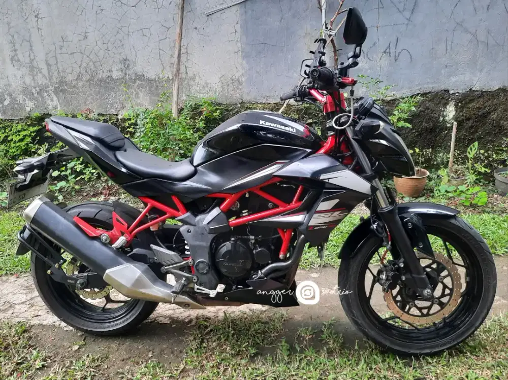 Kawasaki Z250SL / Z250 SL / Z 250SL