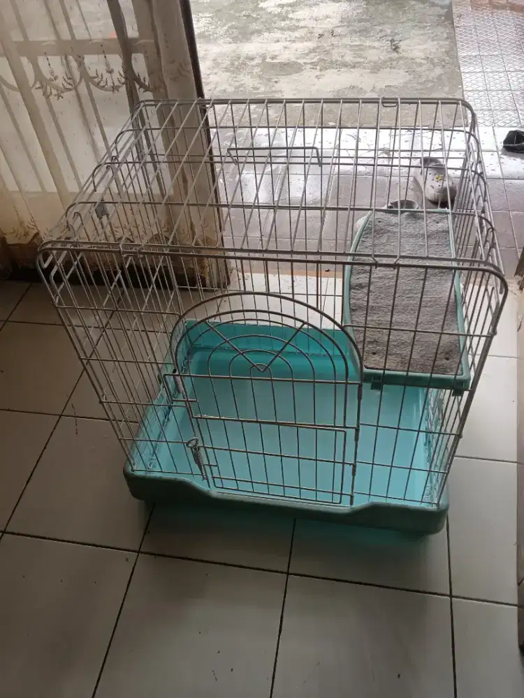 Kandang kucing tingkat