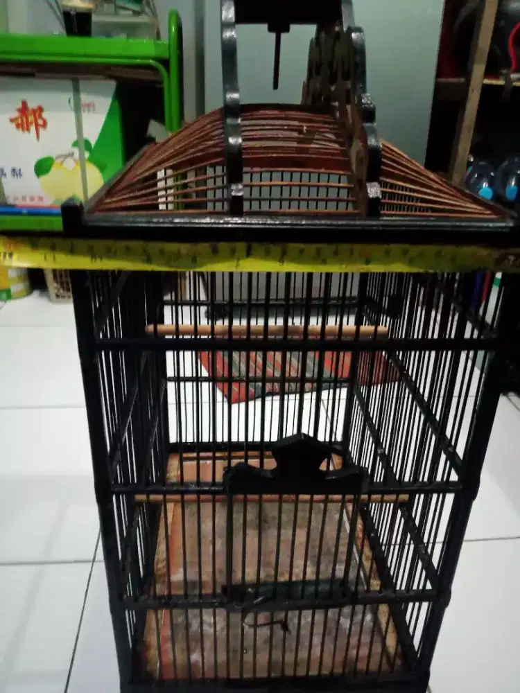 Jual kandang burung