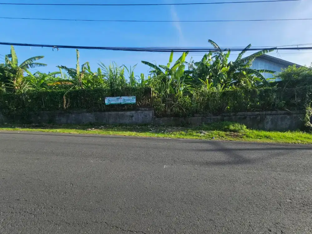 DIJUAL TANAH PREMIUM DEPAN MITRA 10 JLN GUNUNG CATUR DENPASAR BARAT