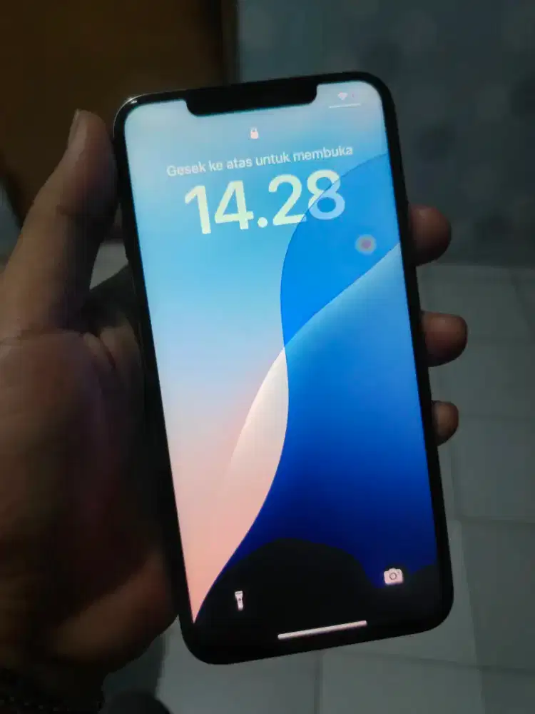 iPhone 11 PM 256GB Inter