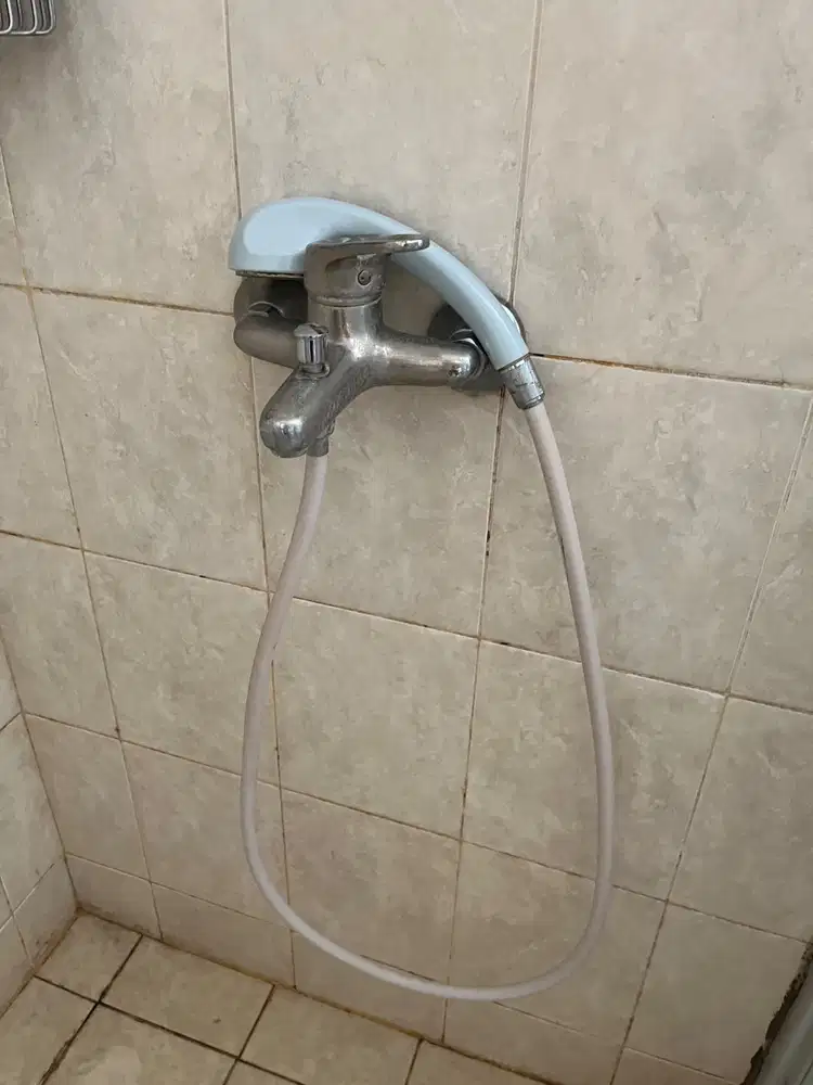 Shower mix bidet