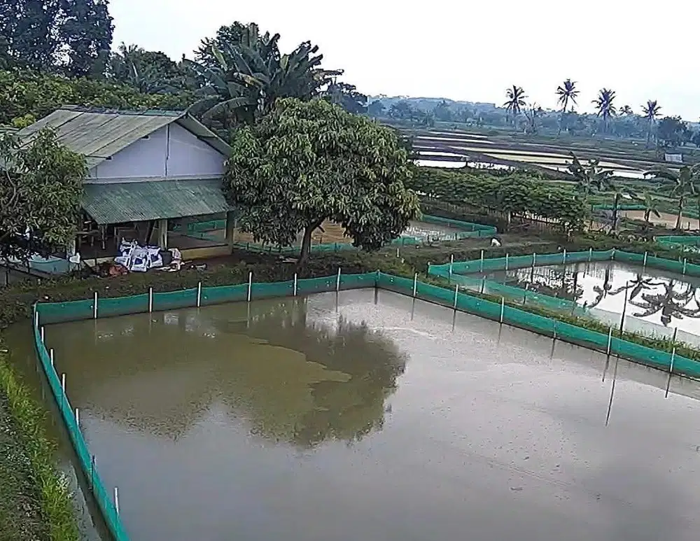 Jarang ada harga ini, tidak dibawah sutet, sudah SHM, nego sampe deal.