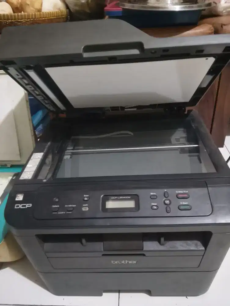 Printer brother dcp l2540dw