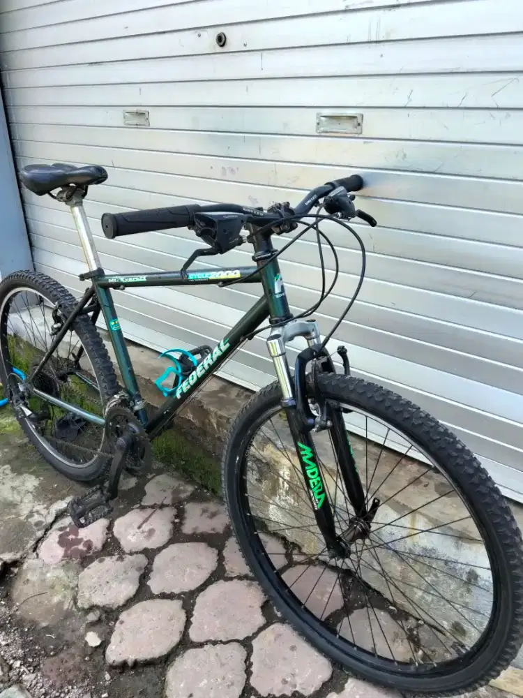 Mtb federal Mt.Everest
