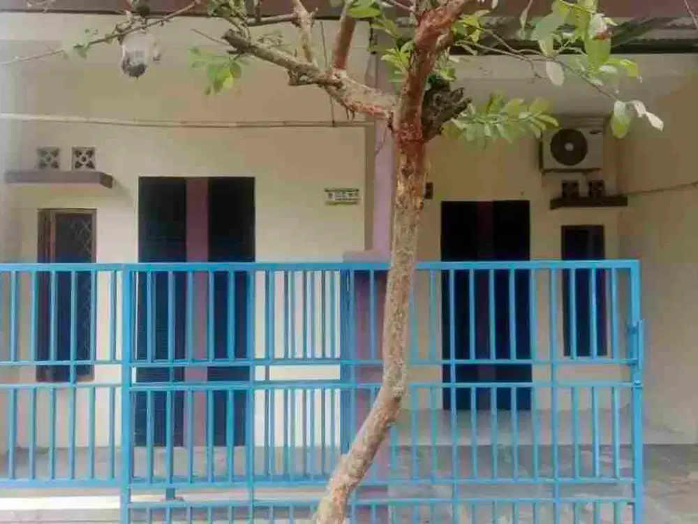 Di Jual Rumah Siap Huni dan Kokoh 400 Jt an Di Cilebut Bogor