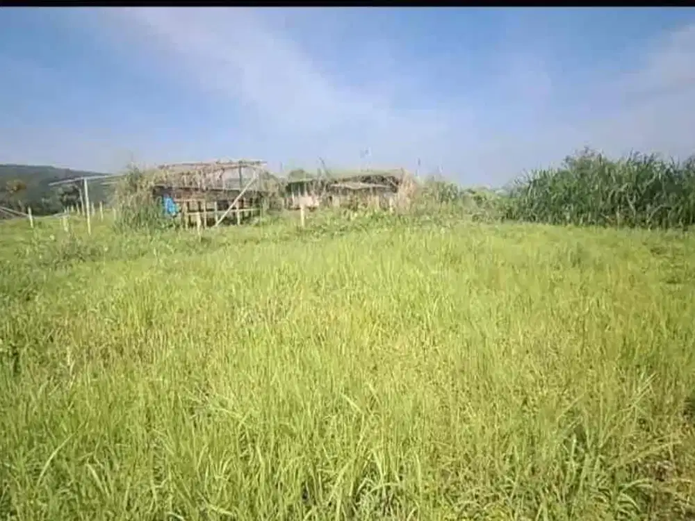 for sale tanah darat dekat Royal urban Resort dan kopi daong