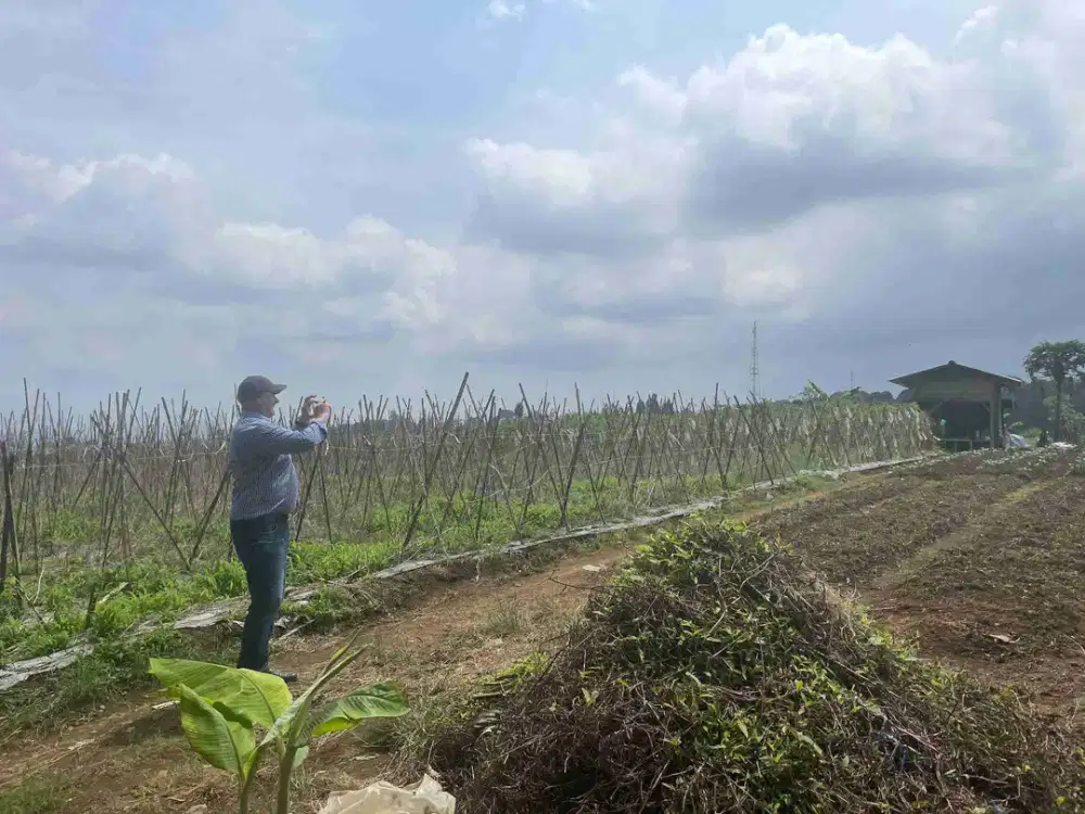 Di jual tanah sangat cocok untuk agrowisata pertanian dan perumahan.