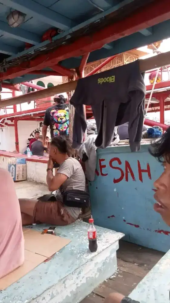 Dibutuhkan cepat tenaga kerja untuk crew abk kapal cumi