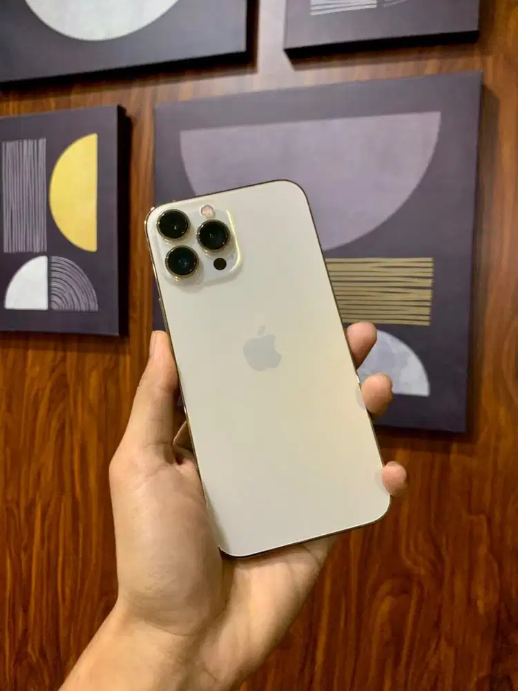 iPhone 13 Promax 512Gb Ex Garansi Resmi Apple Store