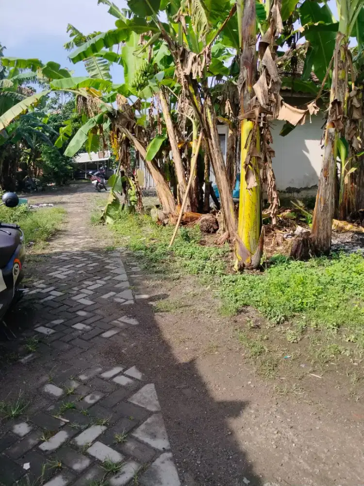 Jual Tanah murah sidoarjo SHM