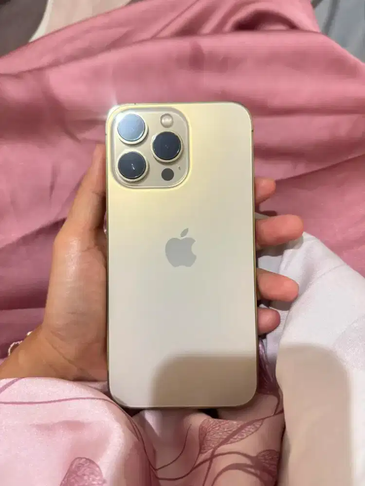 Iphone 13 Pro 256gb beacukai