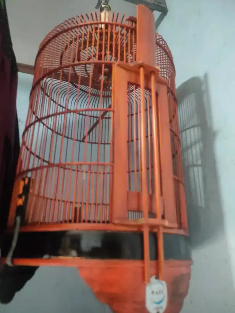 Sangkar burung anis
