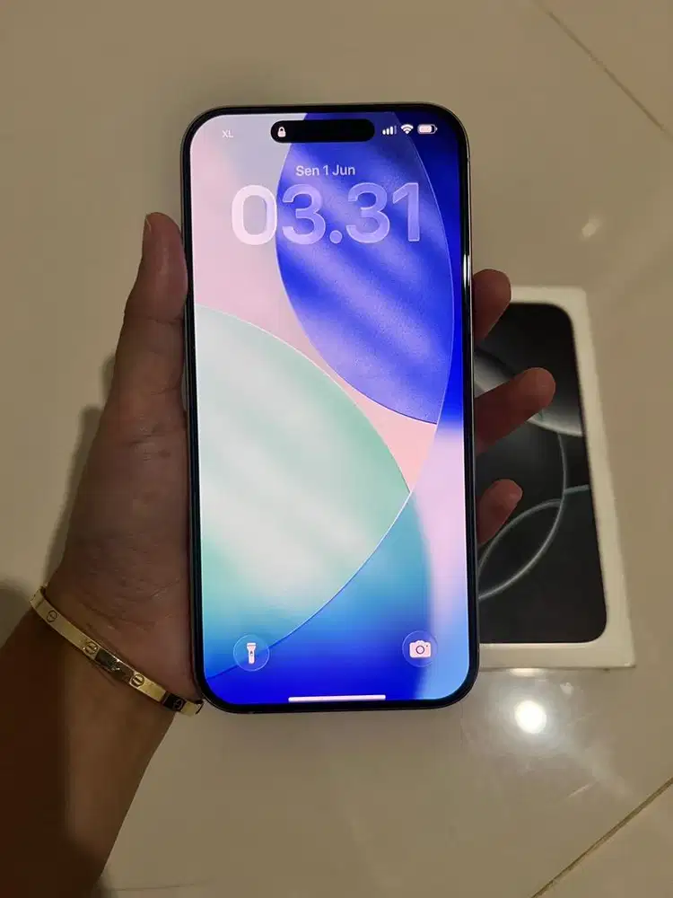 Iphone 16 Pro Max 256 GB Intern