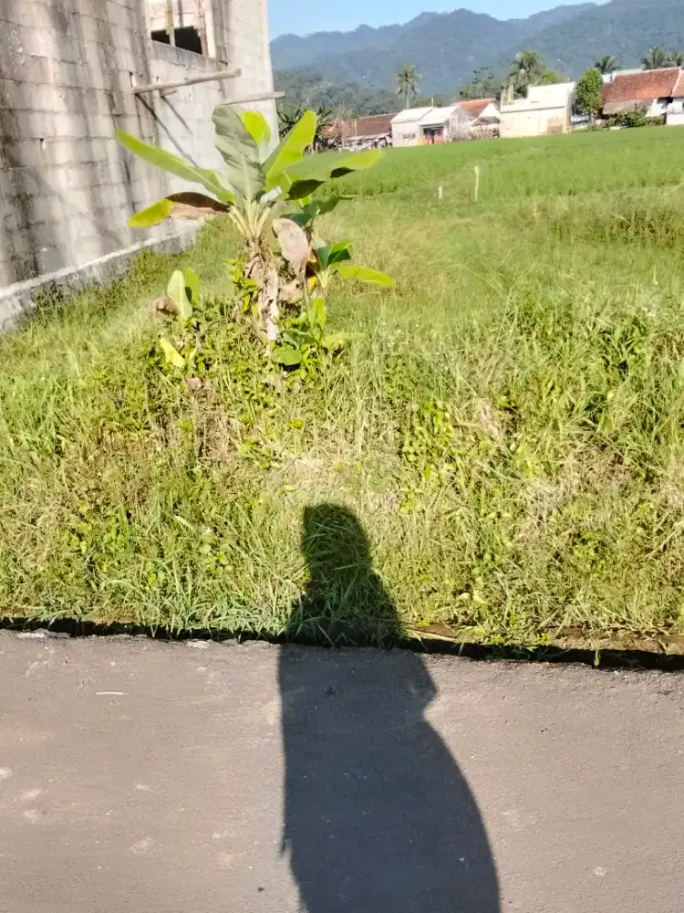 cari kerja pulang pergi