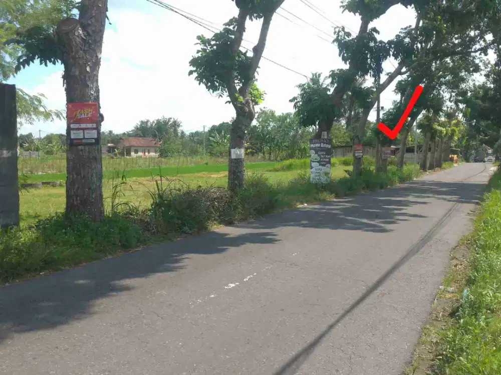 DIJUAL TANAH SAWAH 50 METER DARI JALAN LETKOL SUBADRI ARAH PASAR NAMBONGAN