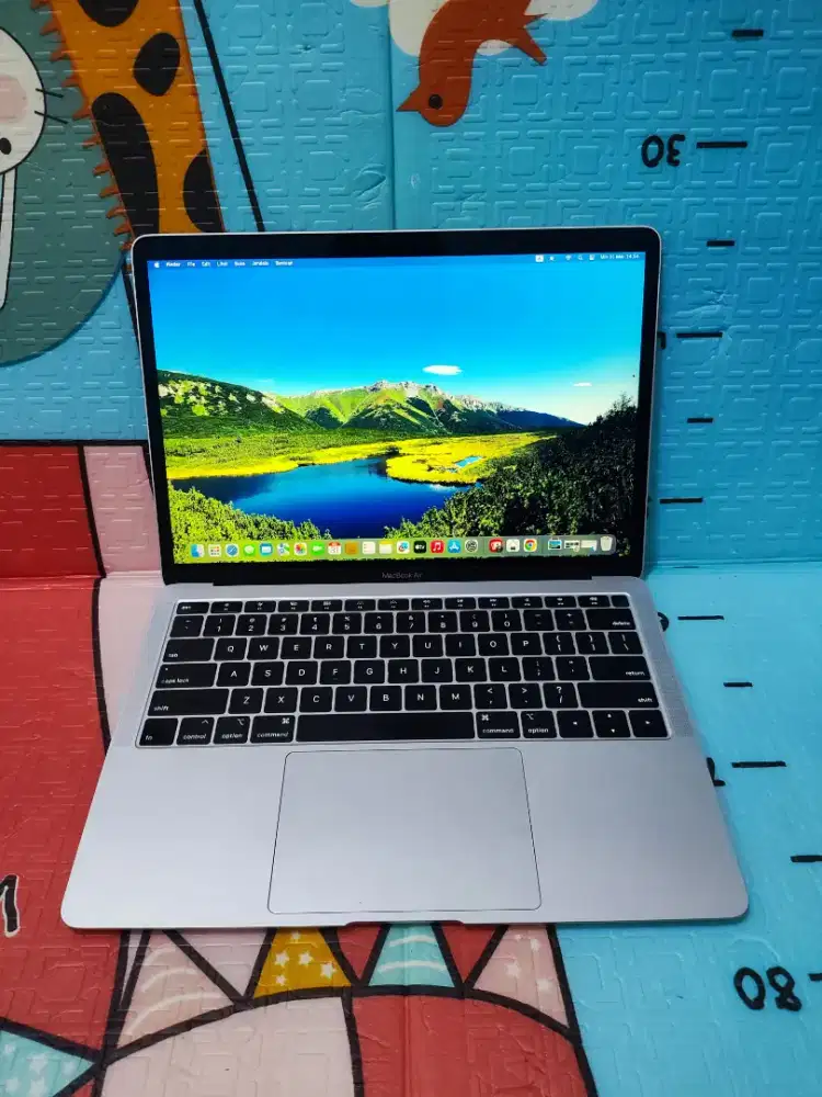 Jual Laptop MacBook Air Retina 13 inc 2019 Intel Core i5 Ram 8gb