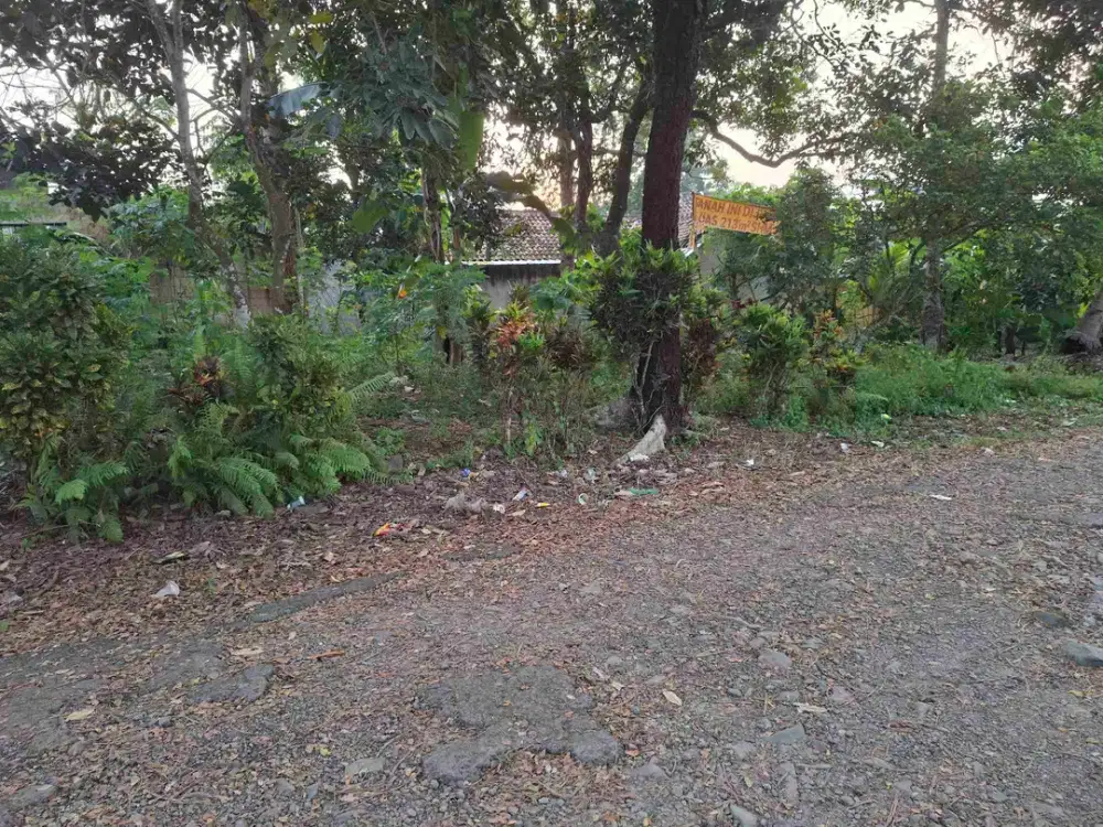 tanah di kemiling