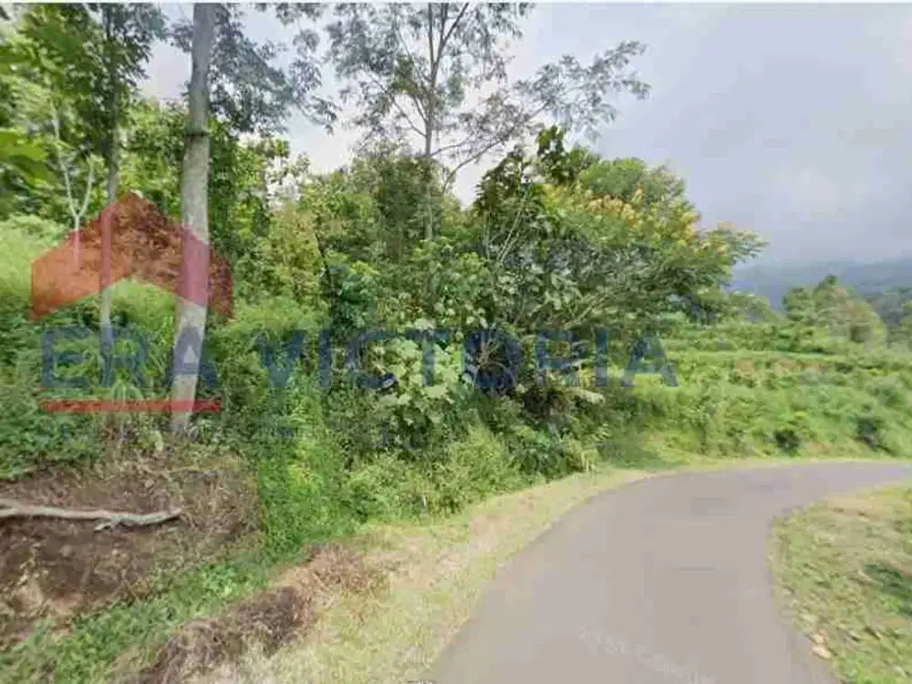 Tanah murah dijual di precet dalisodo wagir malang