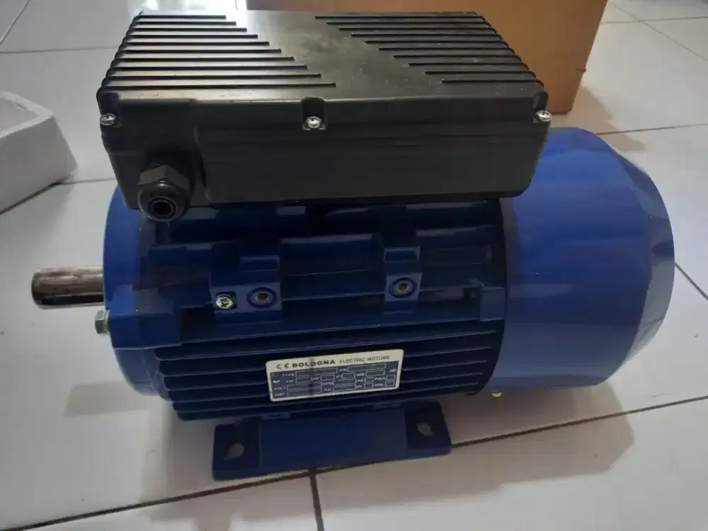 Dinamo Electric Motor Bologna BLY-1001-4 /HP