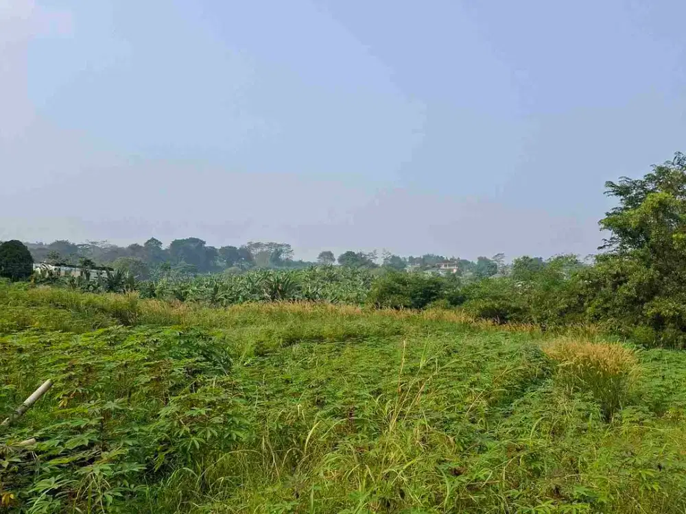 DI JUAL TANAH PREMIUM DI JLN GOLF  REMBOHILLS .