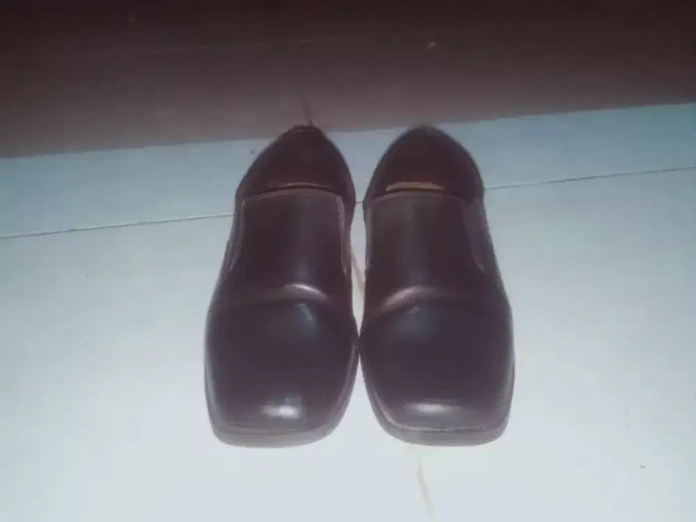 Sepatu pantofel