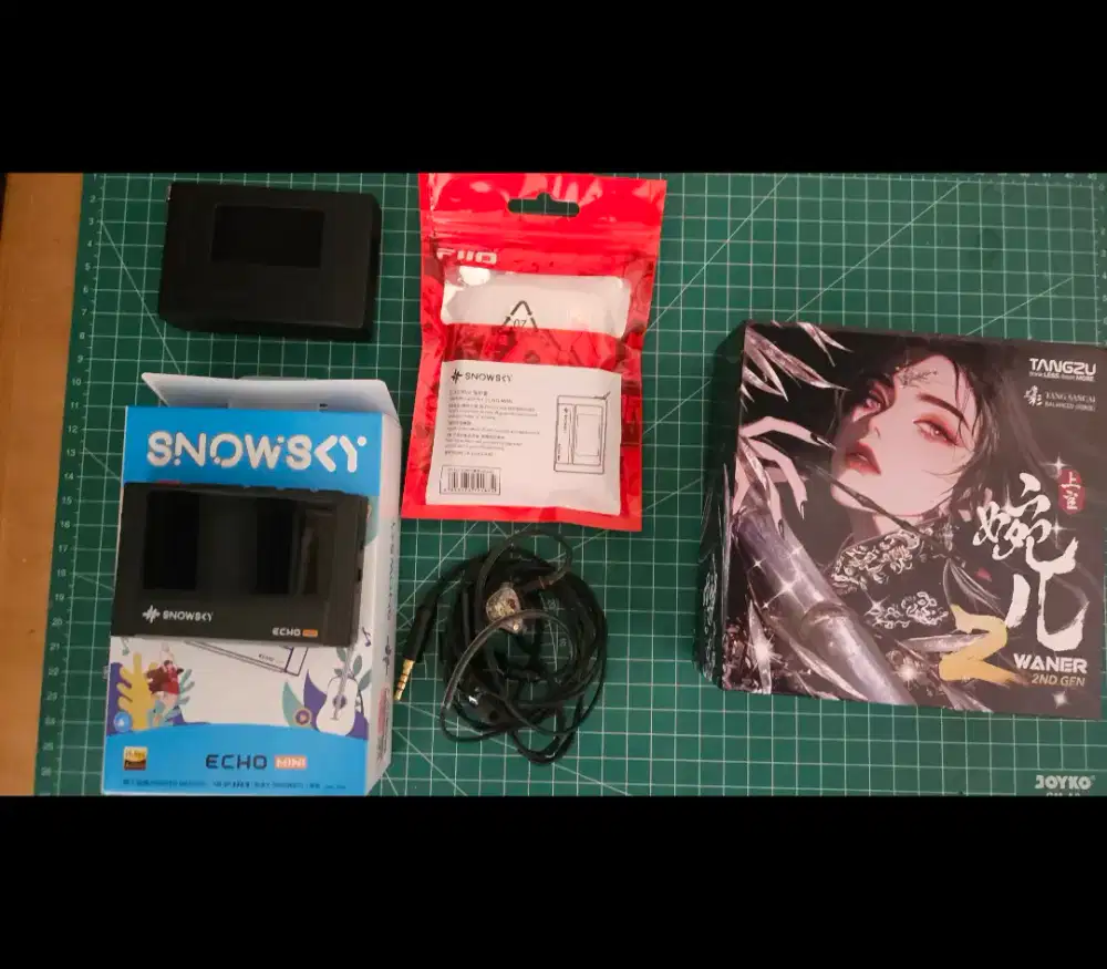 FIIO Snowsky Echo Mini + case dan Tangzu Wan er SG 2 black