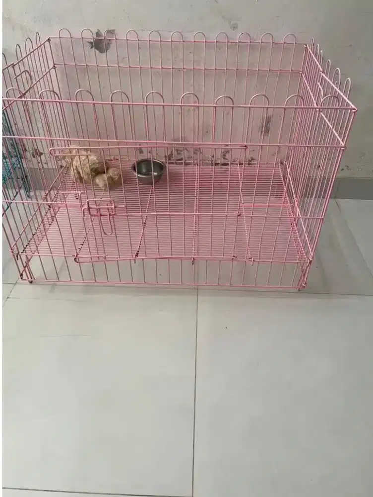 Kandang anjing ukuran P 90 cm T 60 cm L 60 cm