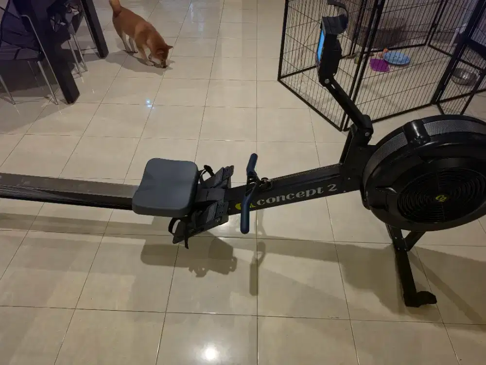 Concept2 Model D RowErg PM5 - Like New - Home Gym