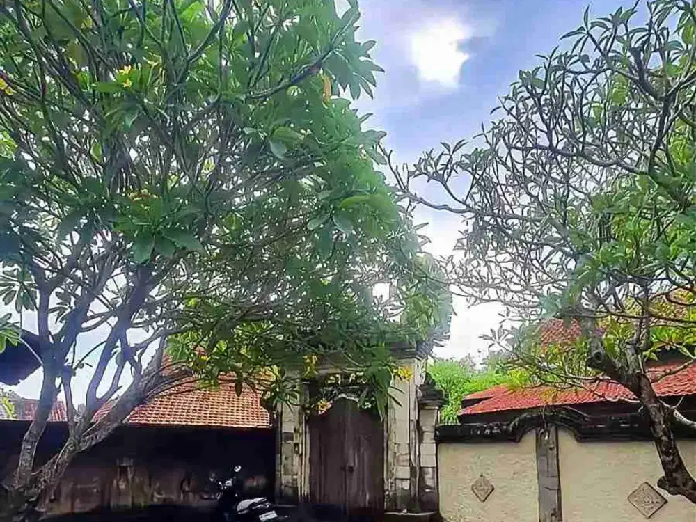 TANAH BONUS BANGUNAN JOGLO JAWA LINGKUNGAN VILLA VILLA