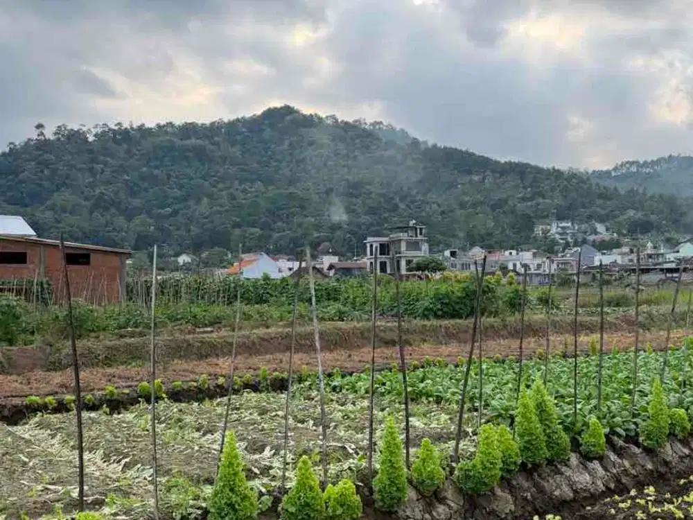 tanah villa view full pegunungan dan bukit di kota batu malang