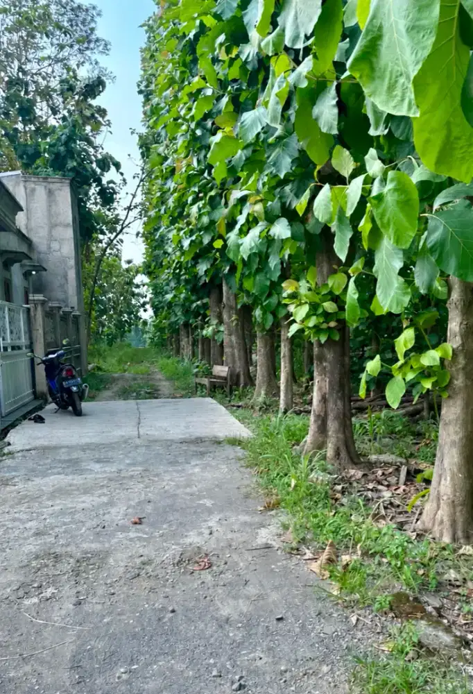 Tanah Kapling 549M2 Lokasi strategis dekat JL Jogja-Solo