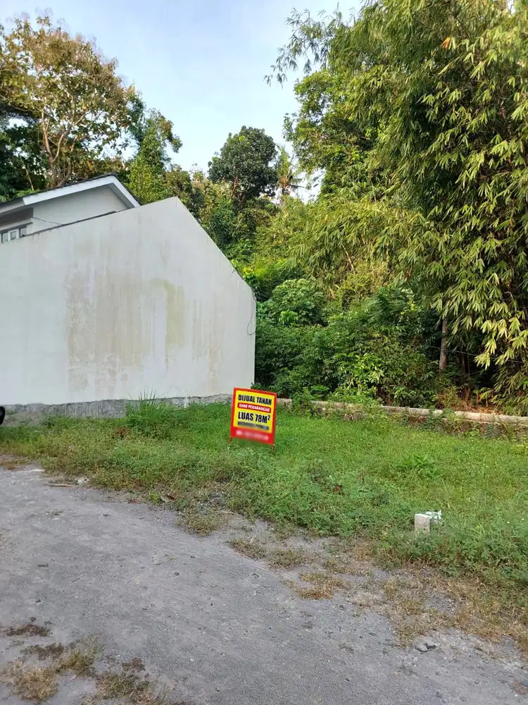 Tanah Pekarangan Harga Murah di Sedayu