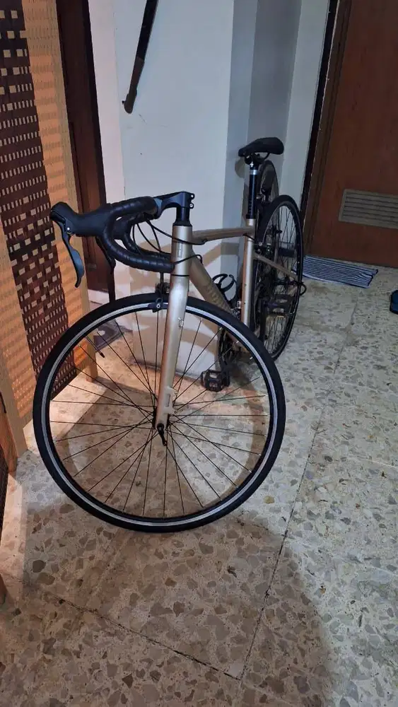 Roadbike Dominate RR