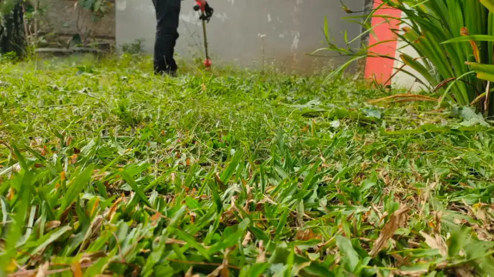 Potong rumput dan tanaman